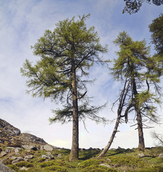 Similar image 1405906