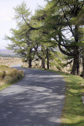 Similar image 1405908