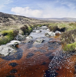 Similar image 1405910