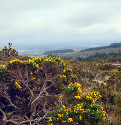 Similar image 1405920