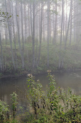 Similar image 1405927