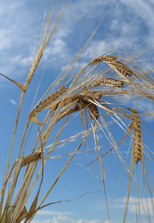 Similar image 1405942