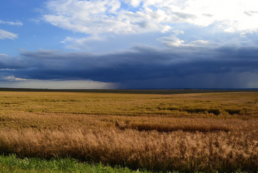 Similar image 1405943