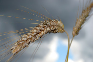 Similar image 1405944