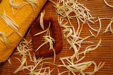 Similar image 1405978