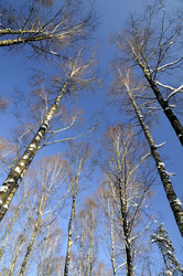 Similar image 1405993