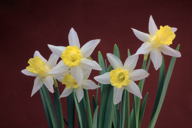 Similar image 1405998