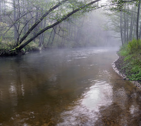 Similar image 1406025