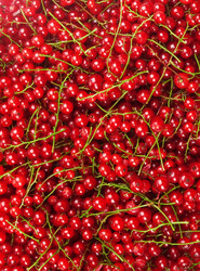 Similar image 1406124