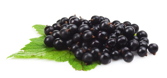 Similar image 1406125