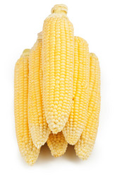 Similar image 1406126