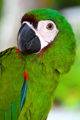 Similar image 1406138