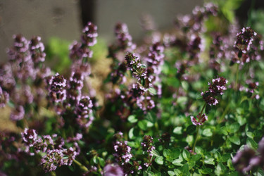 Similar image 1406141