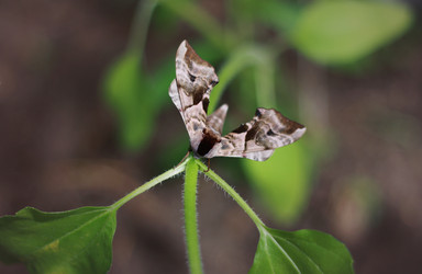 Similar image 1406144