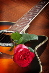 Similar image 1406146