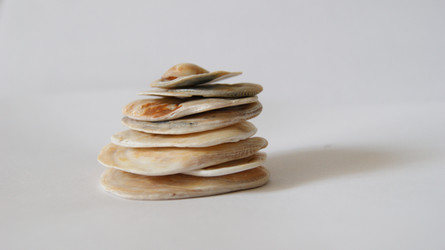 Similar image 1406151