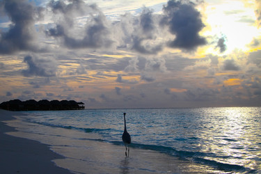 Similar image 1406160