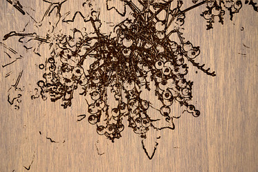 Similar image 1406169