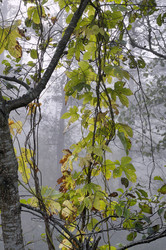 Similar image 1406173