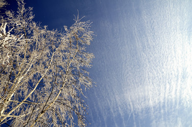 Similar image 1406178