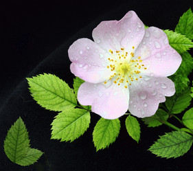 Similar image 1406180