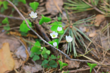 Similar image 1406186