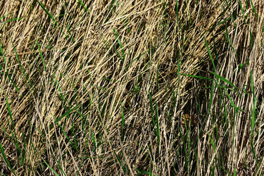 Similar image 1406188