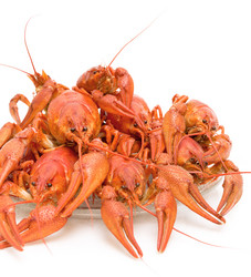 Similar image 1406190