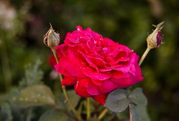 Similar image 1406211