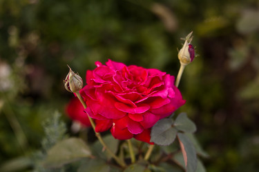 Similar image 1406212