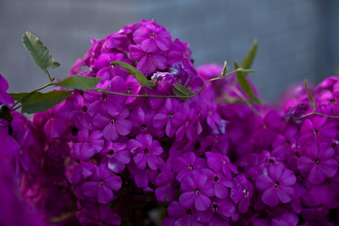 Similar image 1406213