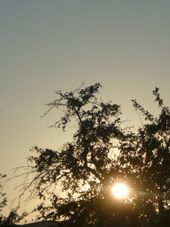 Similar image 1406215