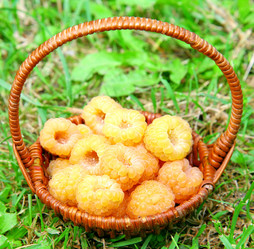 Similar image 1406222