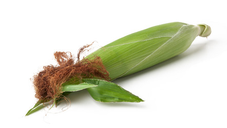 Similar image 1406243