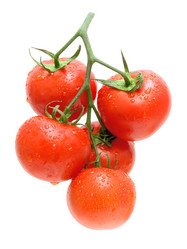 Similar image 1406249