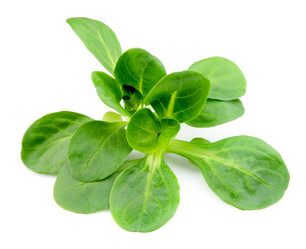 Similar image 1406281