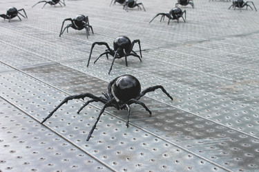 Similar image 1406295