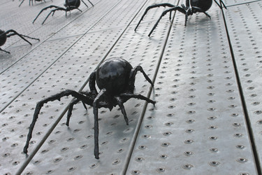 Similar image 1406298