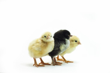 Similar image 1406300