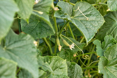 Similar image 1406309