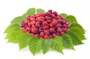 Similar image 1406314