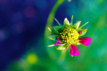 Similar image 1406317