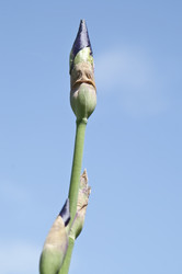 Similar image 1406321