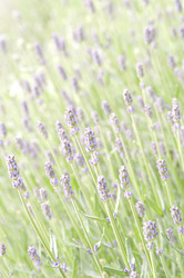 Similar image 1406326