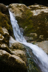 Similar image 1406338