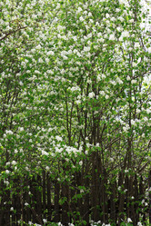 Similar image 1406358