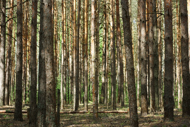 Similar image 1406359