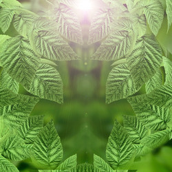 Similar image 1406381