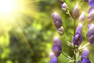 Similar image 1406411