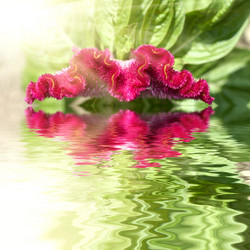 Similar image 1406412